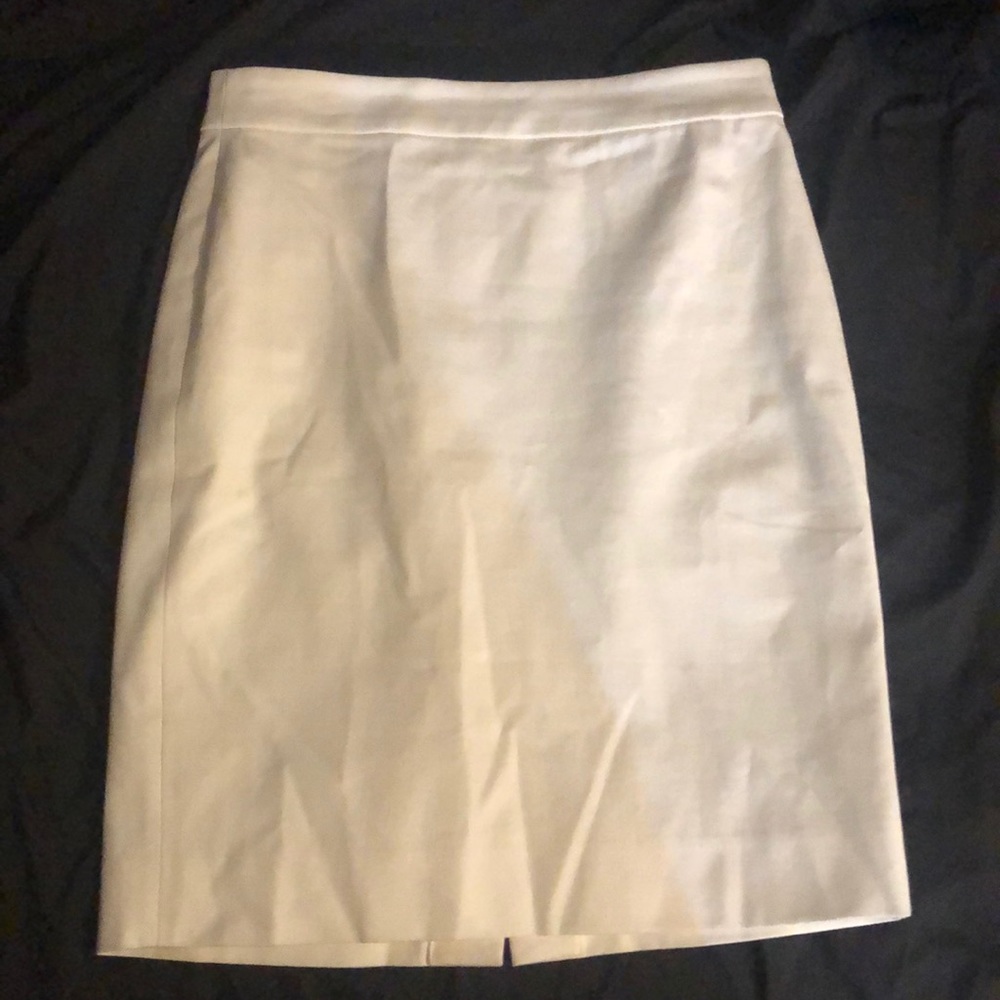 J. Crew Skirt